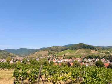 Village aux toits de tuiles rouges niché parmi les vignobles de la Route des Vins d'Alsace. Collines couvertes de vignes sous ciel bleu.