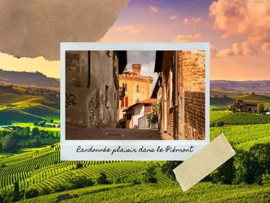 Patchwork d'images du vignoble piémontais et de paysage typique du Piémont