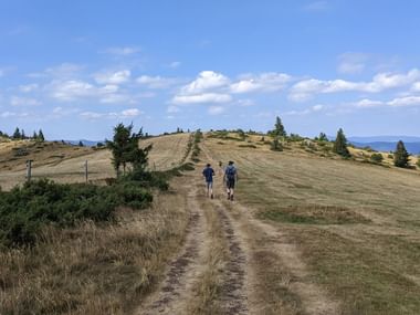Randonneurs dans les Vosges