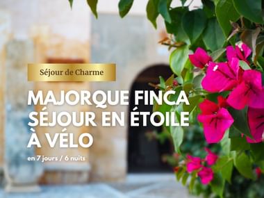 Majorque à vélo logé dans des fincas