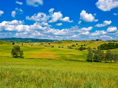 Vue panoramique des collines vertes ondulantes de Toscane avec des arbres épars, des champs dorés et un ciel bleu dramatique avec des nuages blancs.