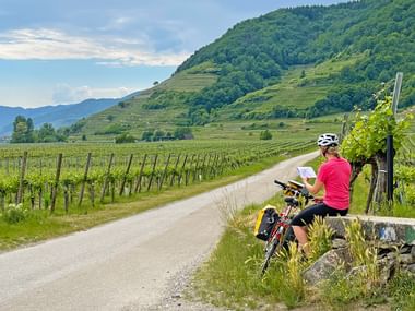 Cyclotouriste dans la Région de la Wachau, le long du Danube, Autriche