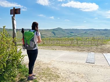 Vue sur les Langhe