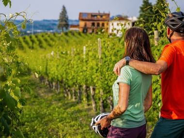 Visiter le Piémont à vélo, vignobles