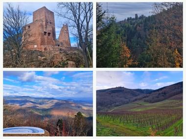 hiver-circuit-alsace-maintenance-premier-jour-trois-chateaux-ammerschwihr