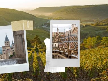Montage photos montrant les toits des Hospices de Beaune, le clocher de l'Abbaye de Cluny sur fond de vignoble bouguignon