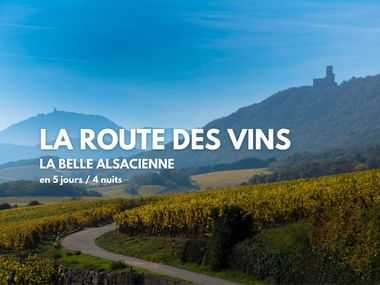 Paysage viticole alsacien avec collines ondulantes, ruines de château sur les hauteurs et chemin cyclable à travers les vignes dorées d'automne.