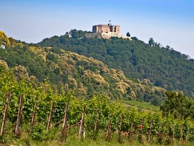 Château de Hambach