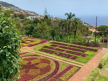 Madère, Jardin botanique de Funchal