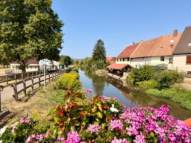 Canal étroit traversant un village alsacien avec des fleurs roses, une clôture en bois, des maisons traditionnelles aux toits de tuiles oranges et des arbres verts.