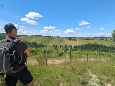 Environs de Greve in Chianti
