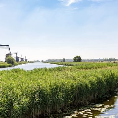 Moulins aux Pays-Bas