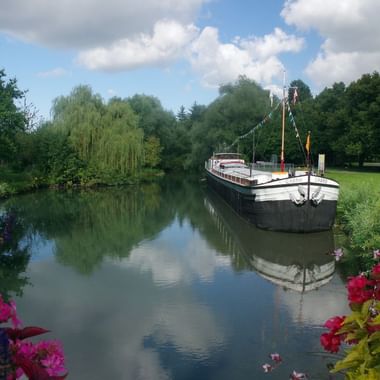 Bras du Rhin, au nord de Strasbourg Bras du Rhin, au nord de Strasbourg