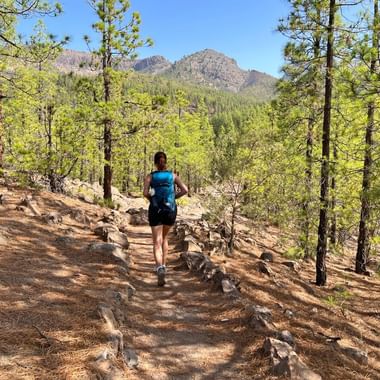 Randonneuse dans la forêt de Vilaflor, àTenerife