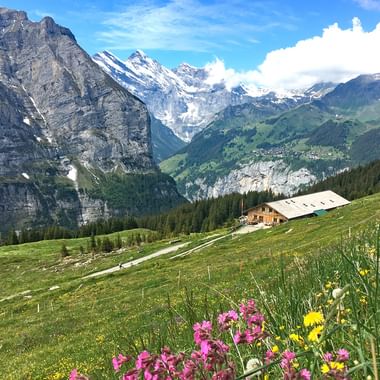 Paysage sur le trek de l'ours