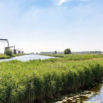 Moulins aux Pays-Bas