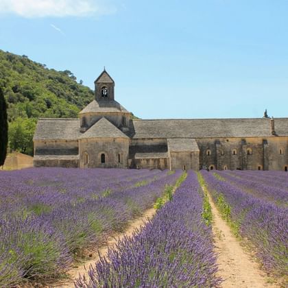 Abbaye de Senanque