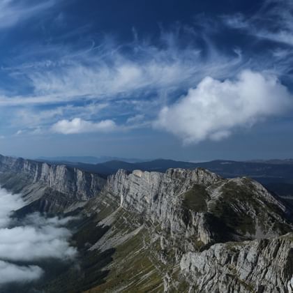La Grande Moucherolle