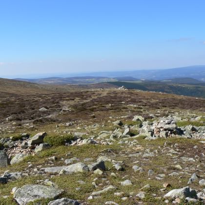 Paysage rocheux du sommet du Pic de Finiels sur le Mont Lozère avec pierres éparses, végétation basse et collines sous ciel bleu.