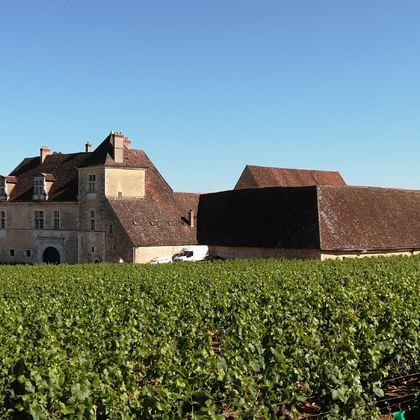 Château du Clos de Vougeot