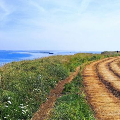 Chemin de terre longeant un champ labouré près de la côte d'Arromanches. Herbe verte avec fleurs blanches bordant la mer bleue sous ciel nuageux.