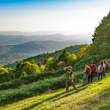 Groupe d'amis en randonnée, admirant une vue splendide sur les Vosges
