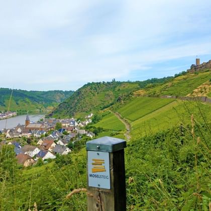 Burg Thurant vu depuis le Moselsteig