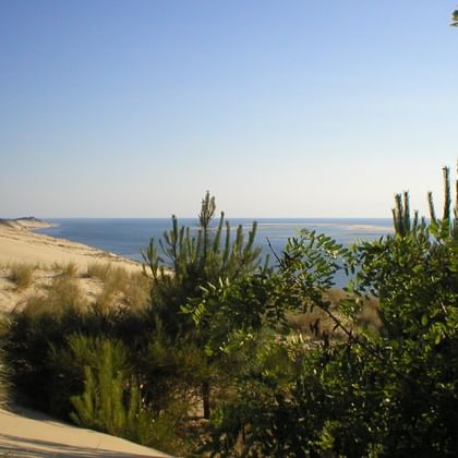 Depuis la Dune du Pilat