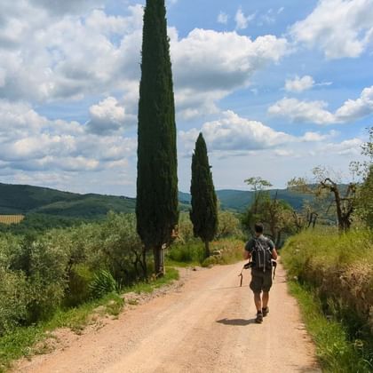 Sentier dans les environs de Panzano