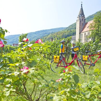 Pause dans la vallée de la Wachau et ses vignobles