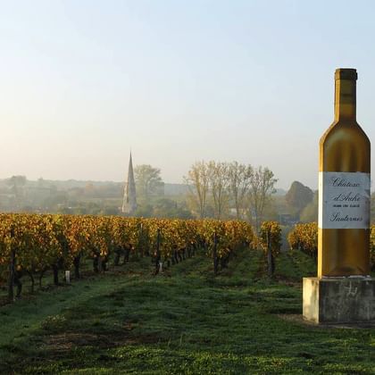 Grande bouteille de vin décorative dans le vignoble de Sauternes avec des vignes aux couleurs automnales. Clocher d'église visible dans le paysage brumeux.