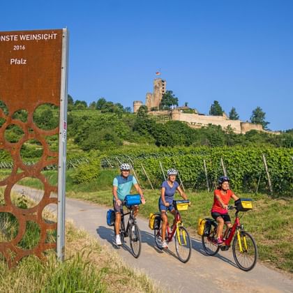 A vélo dans les vignobles allemands