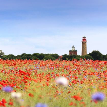 Rügen