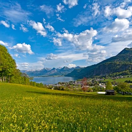 Bel alpage au dessus du Wolfgangsee