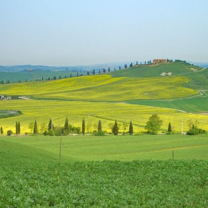 Toscane