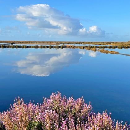 Saline, Parc naturel Ria Formosa