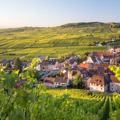 Village de Riquewihr avec maisons traditionnelles et toits rouges niché parmi les vignobles verdoyants d'Alsace, France.