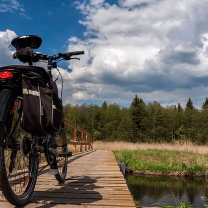 Vélo de randonnée garé sur un ponton face à une forêt