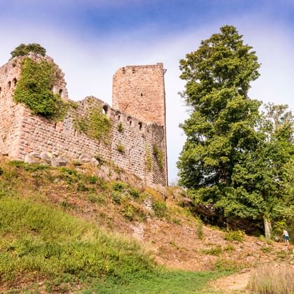 Château du Landsberg, dans les environs d'Heiligenstein