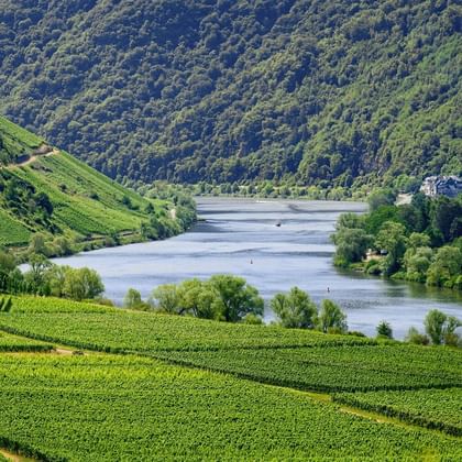Vue sur la rivière Moselle en Allemagne