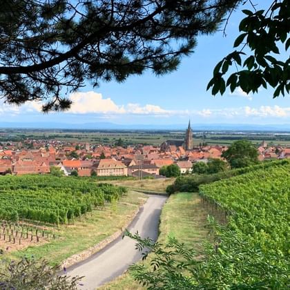 Dambach-la-Ville