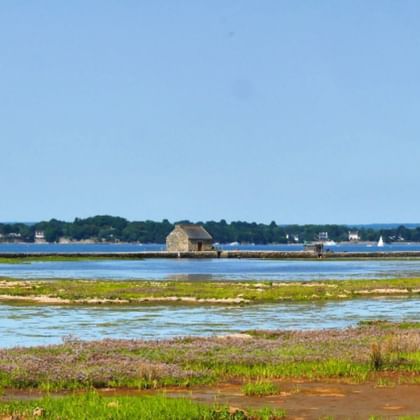 Vasières et marais salants sur l'île d'Arz avec structures en bois sur pilotis dans l'eau, côte lointaine et ciel bleu clair.