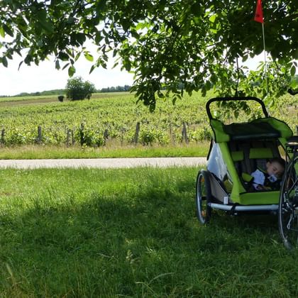 Les châteaux de la Loire à vélo en famille