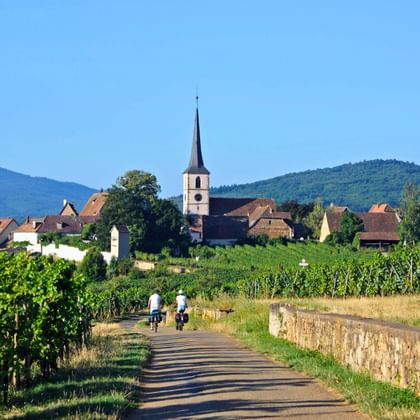 Route des vins d'Alsace, Mittelbergheim, sur l'eurovelo 5