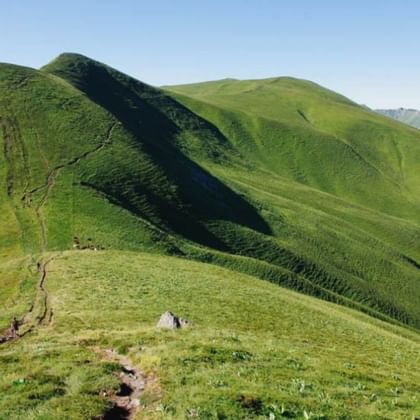 Puy de la Tâche, Massif du Sancy