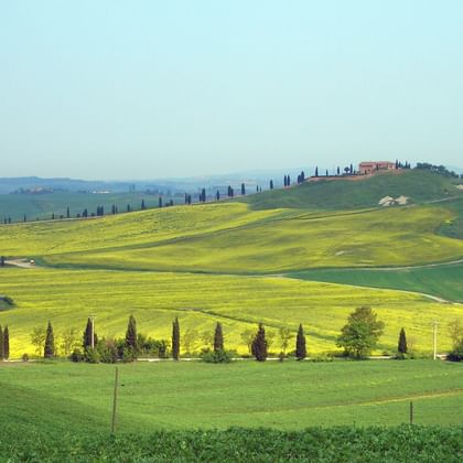 Paysage toscan