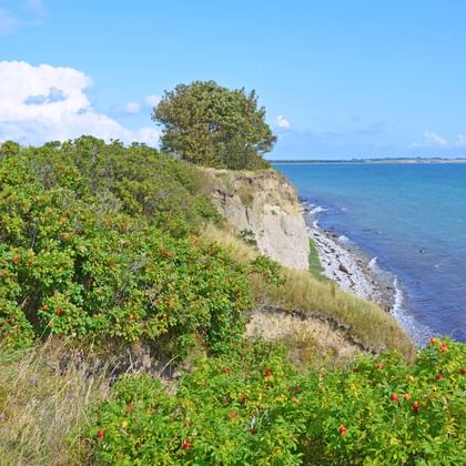 Côte de Fionie