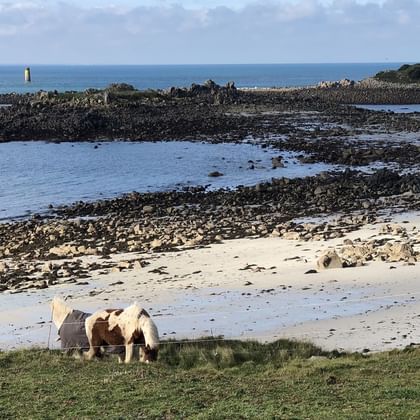 Île de Batz