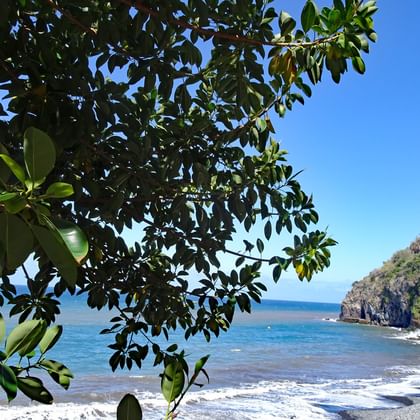 Plage de Madère