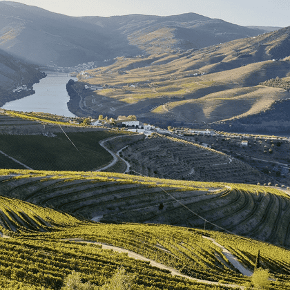 La vallée du Douro